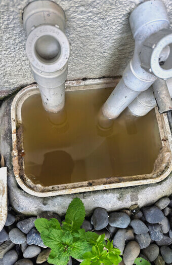 https://plumberinnaloo.com.au/uploads/2025/06/blocked-drains-912576.jpg